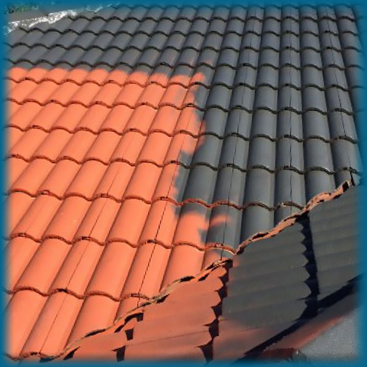roof-painting-perth-australia