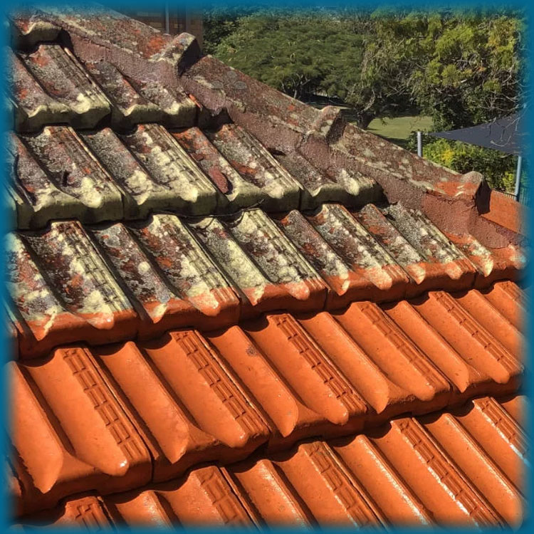 roof-pressure-wash-cleaning